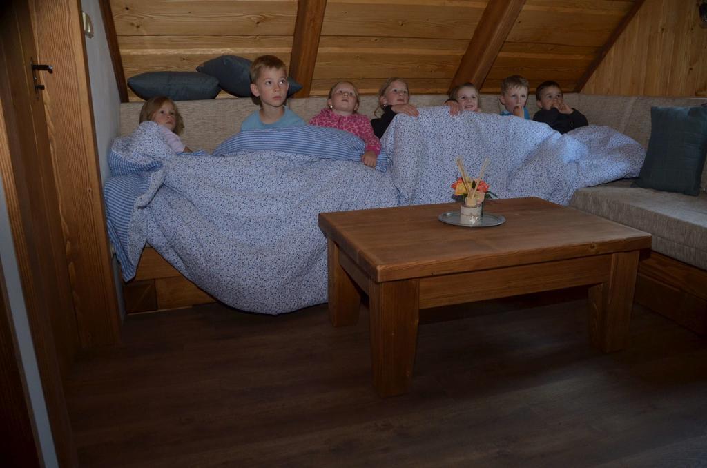 Ubytovani Na Vejminku Rtyne v Podkrkonosi Zewnętrze zdjęcie